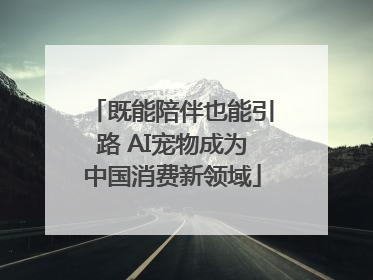 既能陪伴也能引路 AI宠物成为中国消费新领域